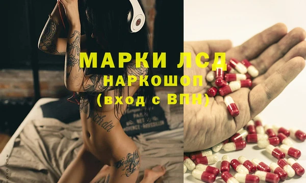 крисы Арсеньев