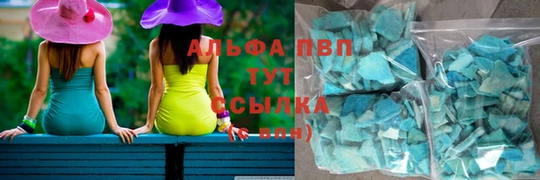 твердый Аркадак